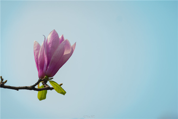 捕梦网是驱散噩梦的风水摆件,捕梦网忌讳挂在什么地方? 捕梦网是驱散噩梦的风水摆件,捕梦网忌讳挂在什么地方?