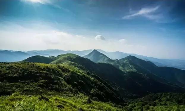 十二生肖中最长情，爱情保质期最久的三大生肖女