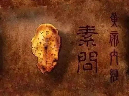 紫微斗数，文昌文曲精彩人生