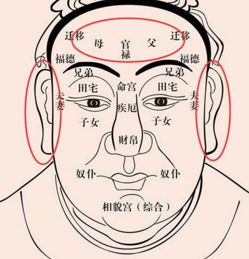 　从“耳朵形状”看你一生的命运，婚姻！