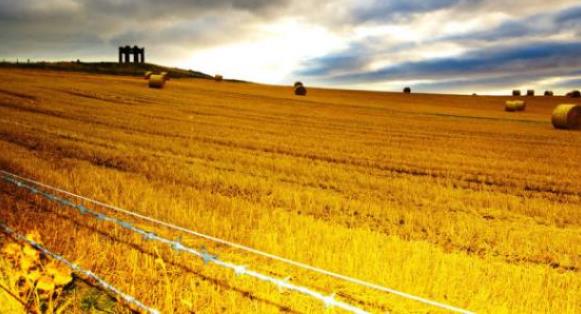 2021年5月那几个生肖的财运最好