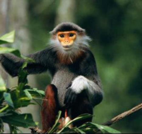 1992年的属猴人适合做什么工作