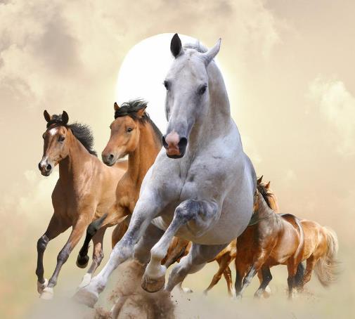 这几个生肖五月过后财运滚滚来