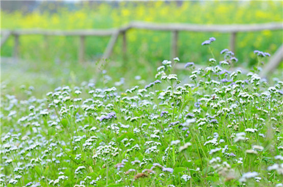 详述风水用品辟邪剑的摆放讲究和化煞方法