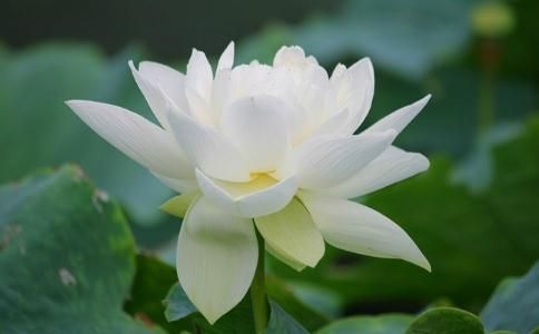 紫微斗数:看你是否能教育好自己的子女 紫微斗数:看你是否能教育好自己的子女