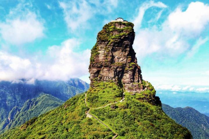 招财龟吃什么东西 需要注意什么