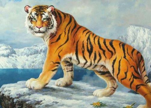 总是天天想着发大财的生肖有那几个