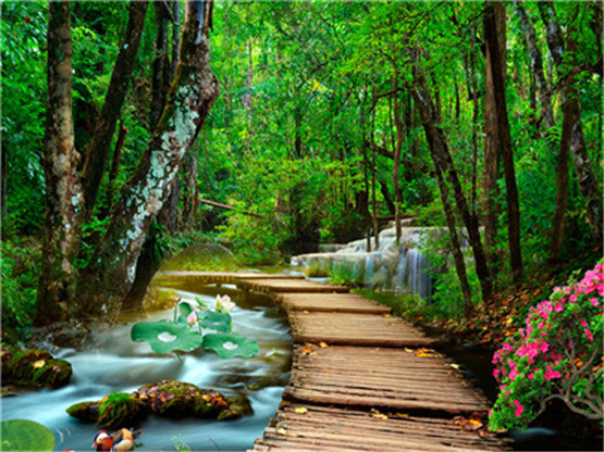 十二生肖中天生就具备较高的智商堪称天才型的三大生肖