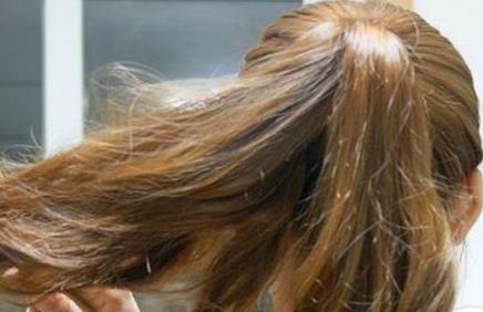 2021年属马人每个月适合什么颜色的头发