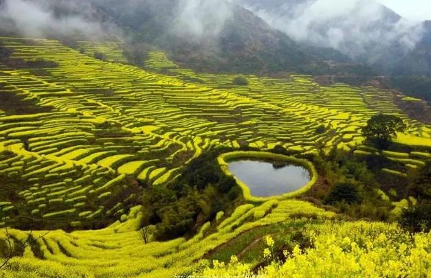 桃木剑悬挂在什么位置好？ 桃木剑怎么摆放？