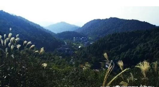 实力很强，却不炫耀，最有高贵气质的三大生肖