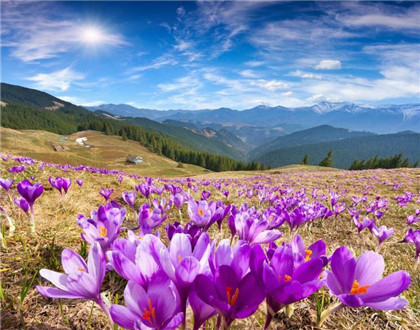 八卦镜可以挂室内吗 如何摆放风水好