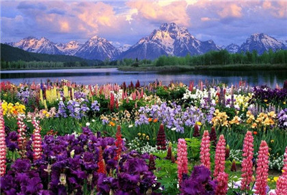 平安扣什么颜色的好 佩戴平安扣的讲究