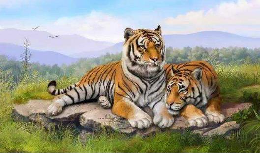 十二生肖在2022年财运排名榜