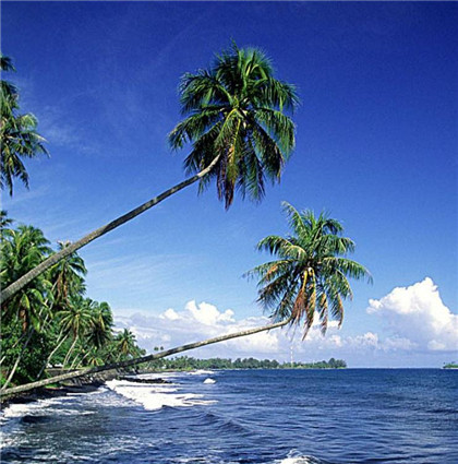 风水吉祥物大象的作用以及摆放知识！