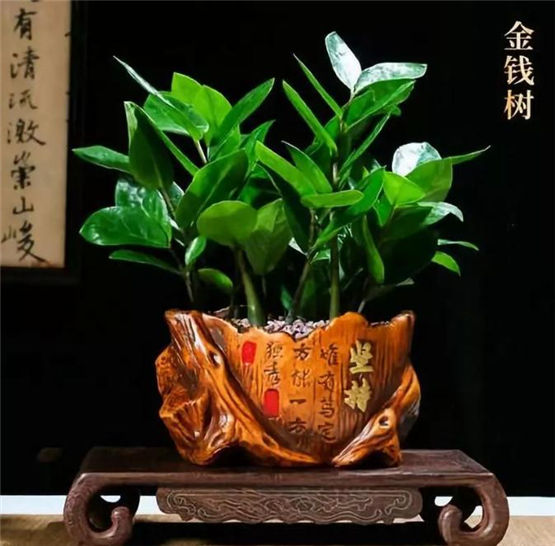 奇门遁甲的由来和奇门遁甲的三次变革 奇门遁甲的由来和奇门遁甲的三次变革