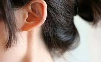 　面相：耳朵大=福气好？