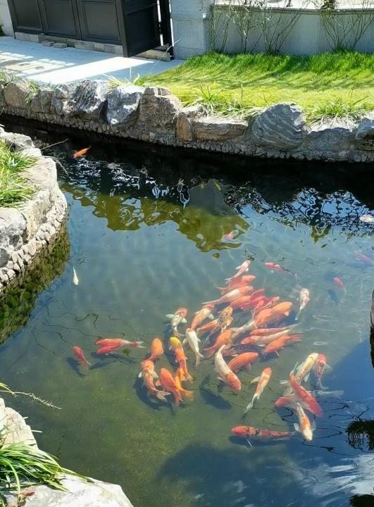 详解葫芦镇宅吉祥物的摆放位置! 详解葫芦镇宅吉祥物的摆放位置!