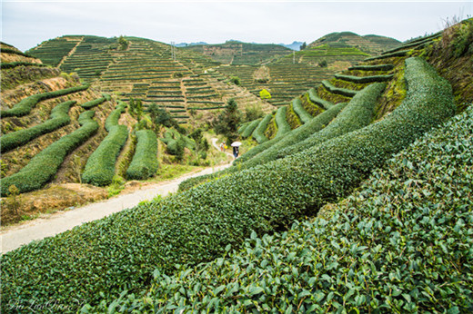 八卦镜挂在屋里什么地方比较好？