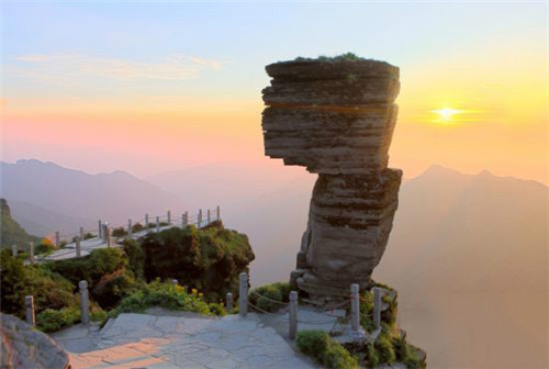 招财龟是什么龟 招财龟有什么特征？