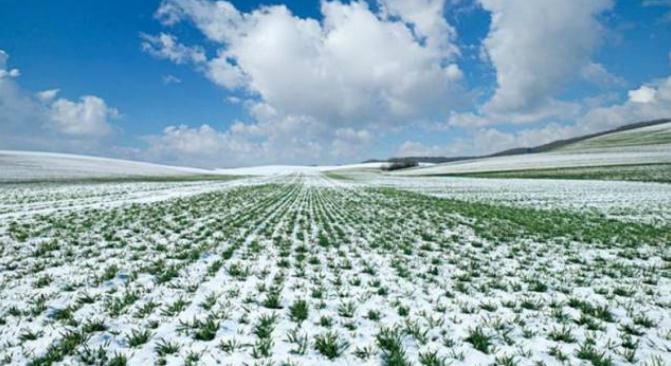 详解招财龟摆放风水五大禁忌