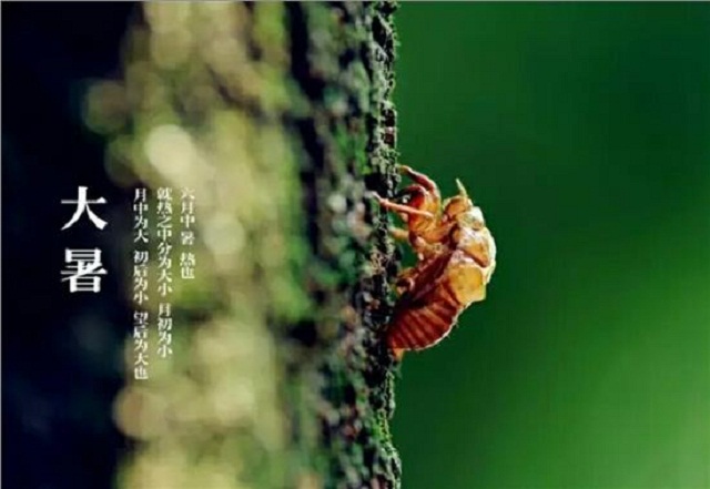 大暑是什么意思呢？