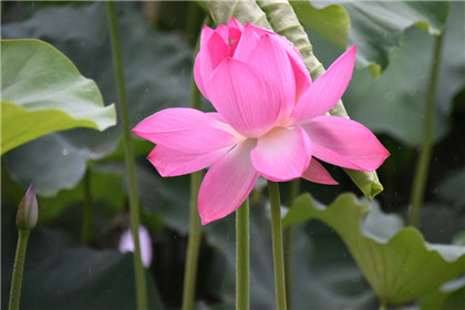 挂八卦镜的注意事项 八卦镜的摆放禁忌