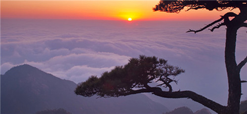 并非人人都适合佩戴玉器,经过加持的玉器有什么忌讳？ 什么人不能戴