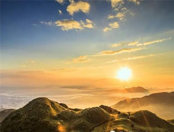 招财瑞兽龙龟用途及风水禁忌大全