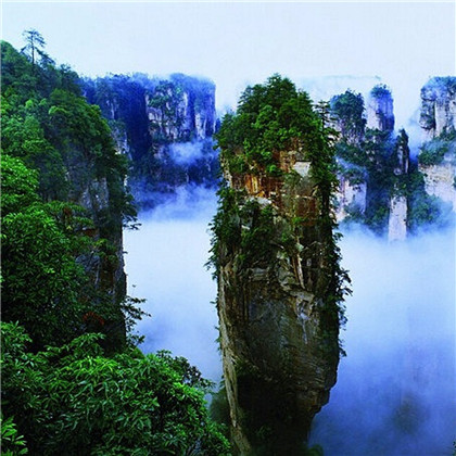 摇钱树怎么使用_摇钱树的风水寓意
