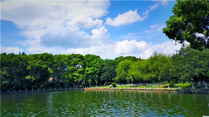 龙龟的风水作用_龙龟应该怎么摆放