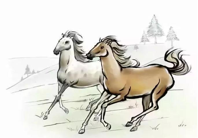 大发横财 ：2021年不宜结婚的生肖