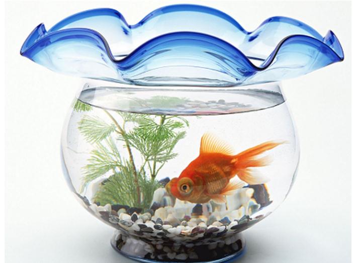 关于招财风水的摆件有哪些呢? 关于招财风水的摆件有哪些呢?