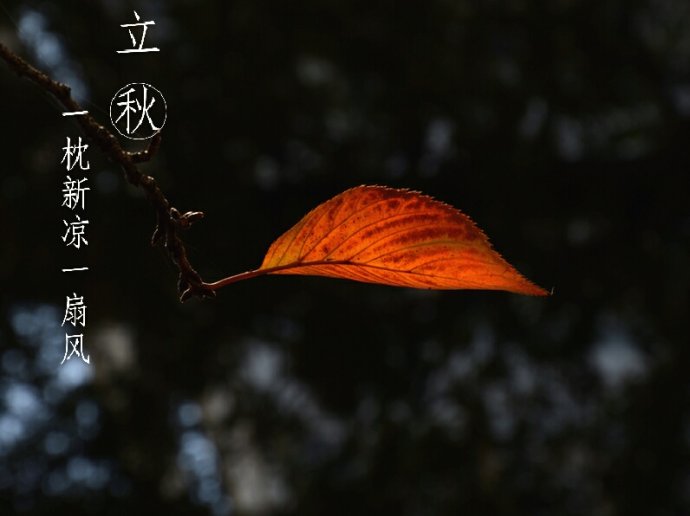 早立秋凉飕飕晚立秋热死牛什么意思