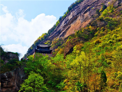 风水摆件龙龟怎么保养？龙龟的保养秘法