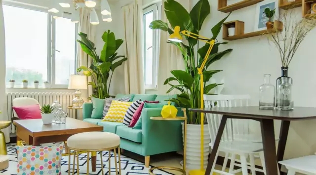 室内风水牛怎么摆放?教你看破风水牛的奥秘