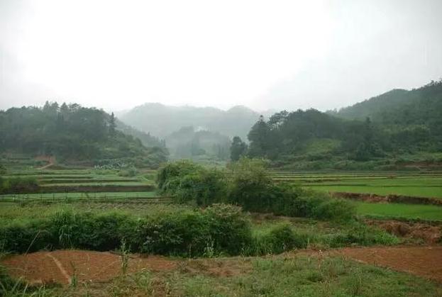 一个真实的风水宝地故事，“大人山脚下，佛祖穿袈裟”