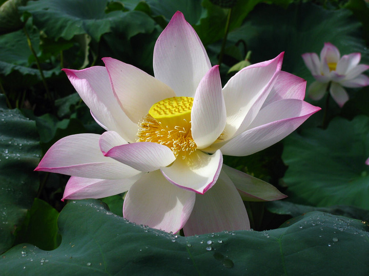 好的风水场是什么样子? 好的风水场是什么样子?