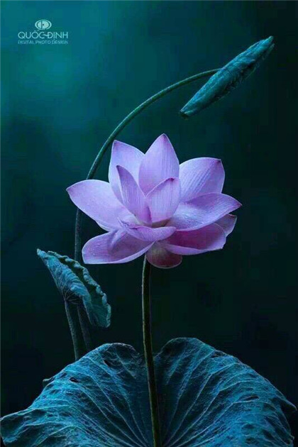 佩戴貔貅有什么禁忌？ 佩戴貔貅的八大注意事项