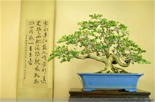 文昌塔怎么摆放 你不可不知的风水知识