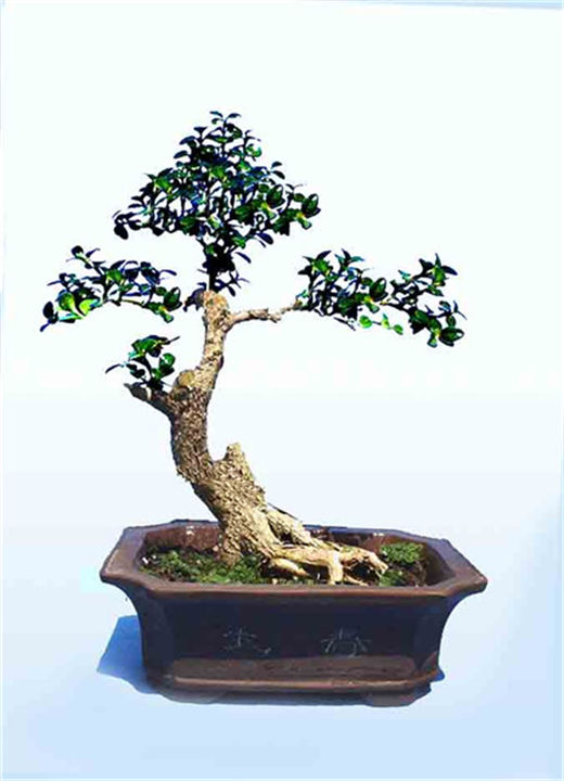 桃木剑的由来 桃木剑的是怎么来的