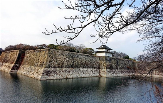 龙龟的风水作用 龙龟可以催财吗