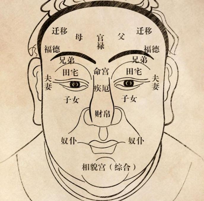看看你有没有阴德纹　面相中阴德纹是什么样的？