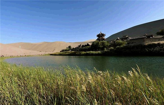 命中财富多，有靠山，容易发达的八字特征