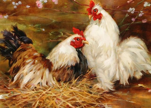 属鸡男2022年运势如何?