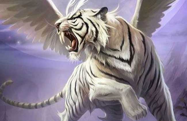 生肖虎2022年2月份工作事业分析