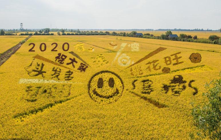 风水画可以改善风水让人赏心悦目　盘点卧室挂什么画风水好