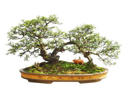 怎么请财神爷?请财神要注意哪些事项? 怎么请财神爷?请财神要注意哪些事项?