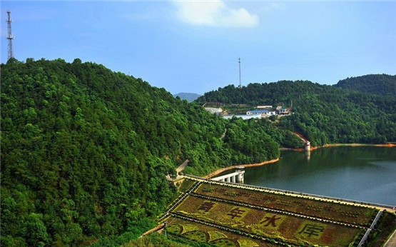 金蟾蜍的来历和三脚金蟾的寓意 金蟾蜍的来历和三脚金蟾的寓意