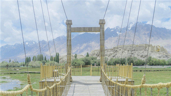 风水用品招财牛的摆放禁忌及材质禁忌